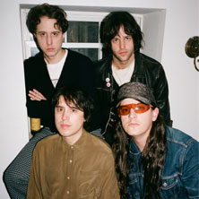 Beach Fossils