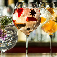 Gin - Tonic - Festival