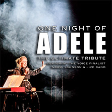 One Night of Adele