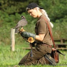 &Oslash;rnereservatet