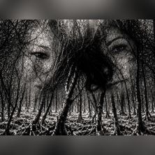 REWILDING ROOTS - Andersen & Vilardo