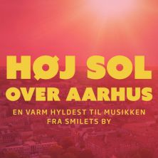 H&oslash;j sol over Aarhus