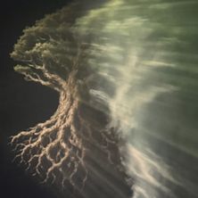 WHEN FORESTS DREAM - Sara Gebran