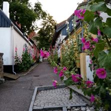 I maleren L.A. Rings fodspor