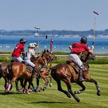 Copenhagen Polo Club p&aring; Lyngeb&aelig;kg&aring;rd