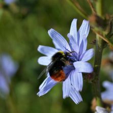 Entr&eacute; Naturdestination Skovsgaard