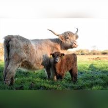 S&aelig;sonkort 2026