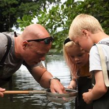 Safari til vandhullet