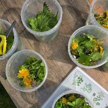 VILD MAD: sanketur og mad over b&aring;l