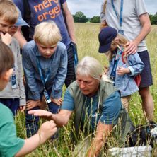 PINSEFERIE P&Aring; SKOVSGAARD