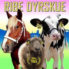 Ribe Dyrskue